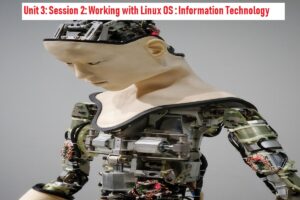 Read more about the article Unit 3: Session 2: Working with Linux OS (Ubuntu)