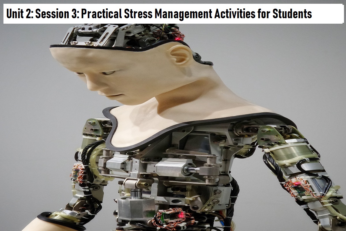 You are currently viewing Unit 2: Session 3: Practical Stress Management Activities for Students