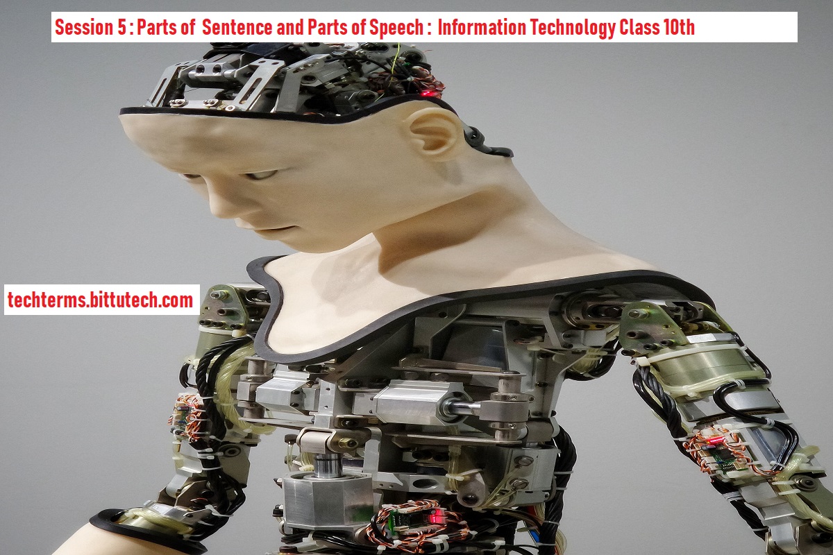 Read more about the article Session 5: Parts of a Sentence & Parts of Speech