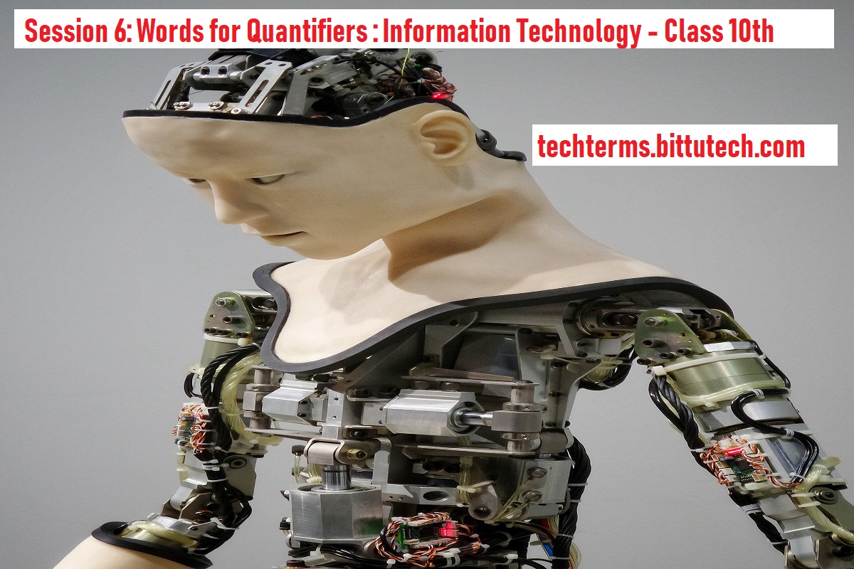 You are currently viewing Session 6: Words for Quantifiers