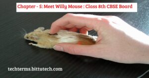 Read more about the article Chapter 5: Meet Willy Mouse